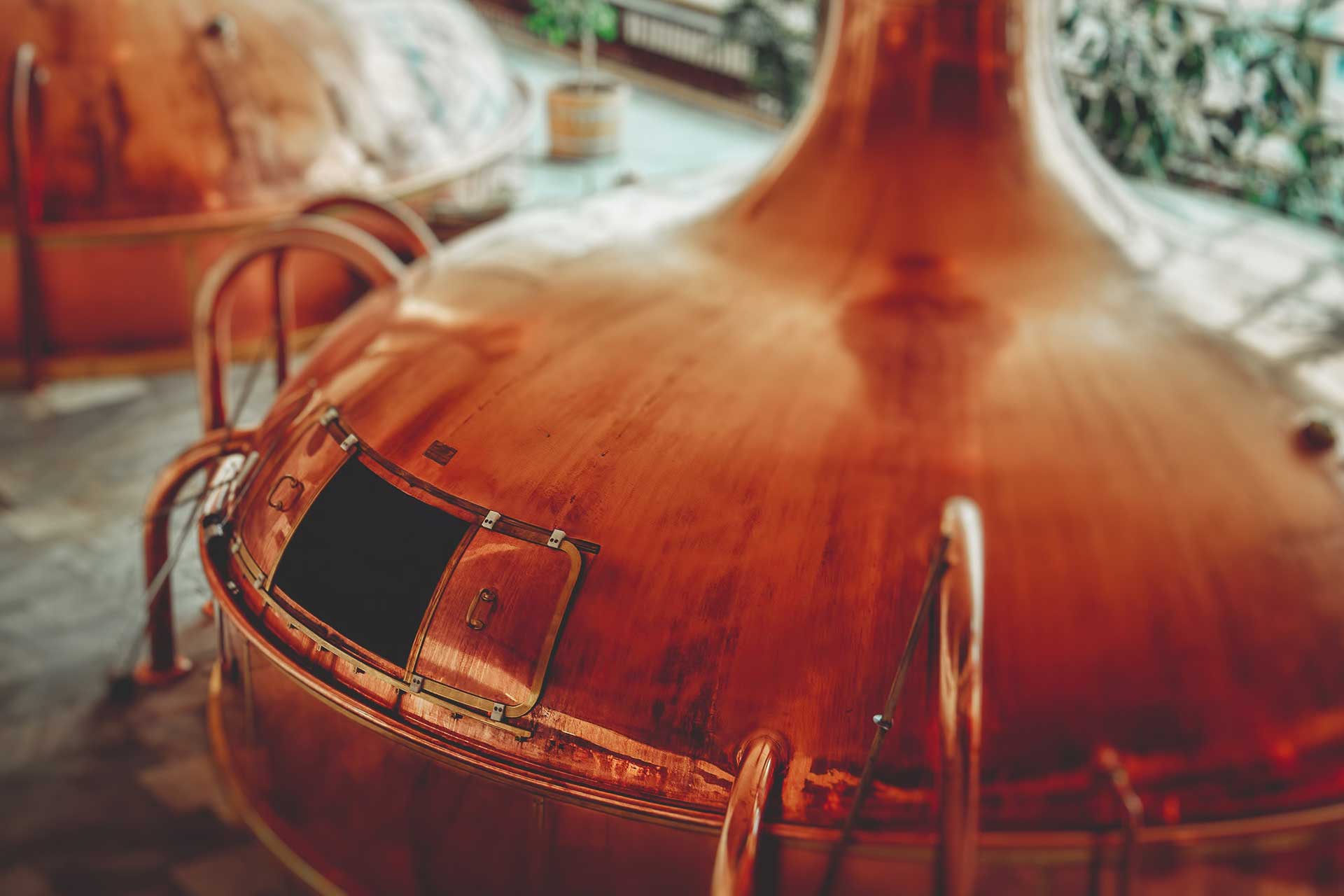 https://www.mncraftbrew.org/wp-content/uploads/2018/06/About-Home-1.jpg