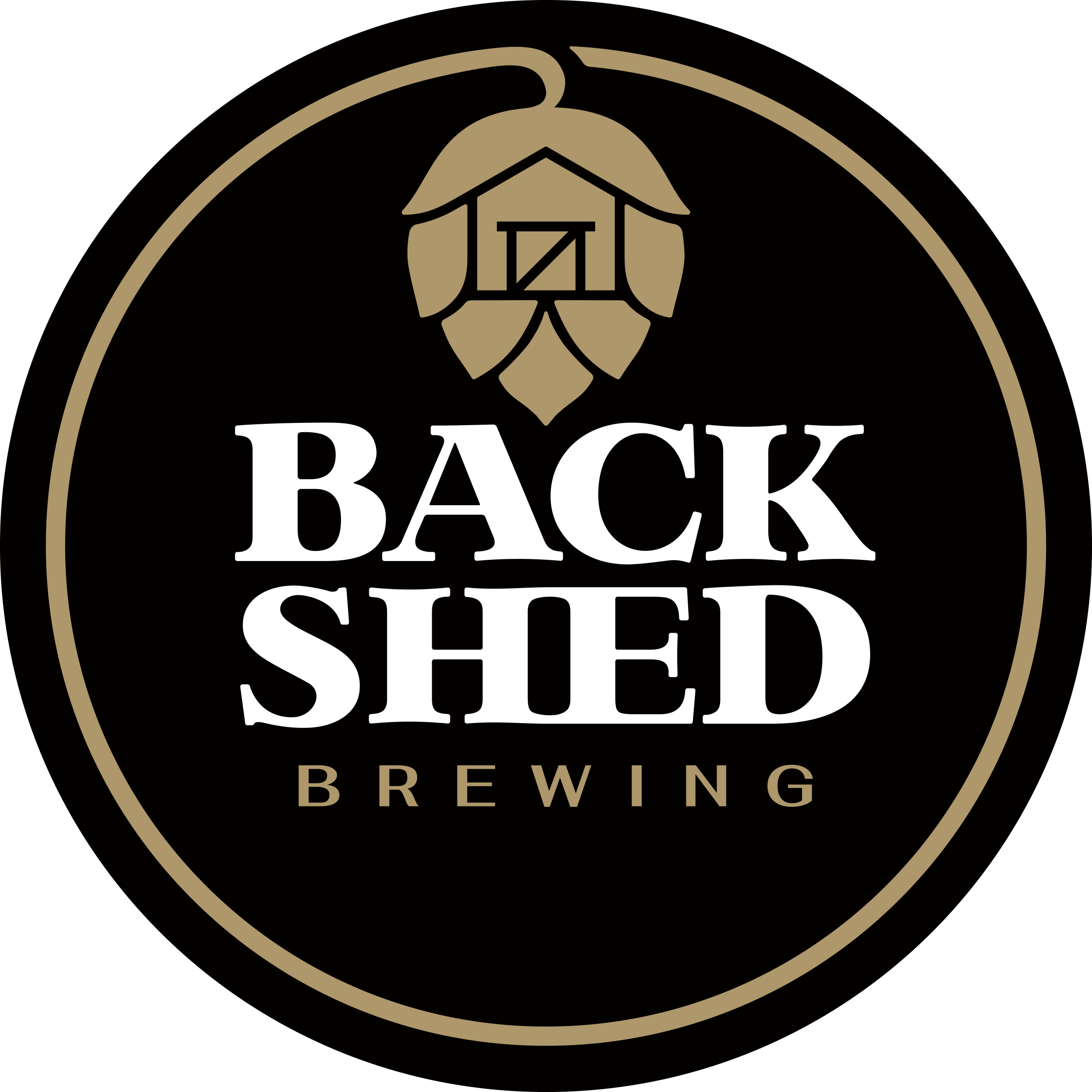 Back Shed Brewing Logo